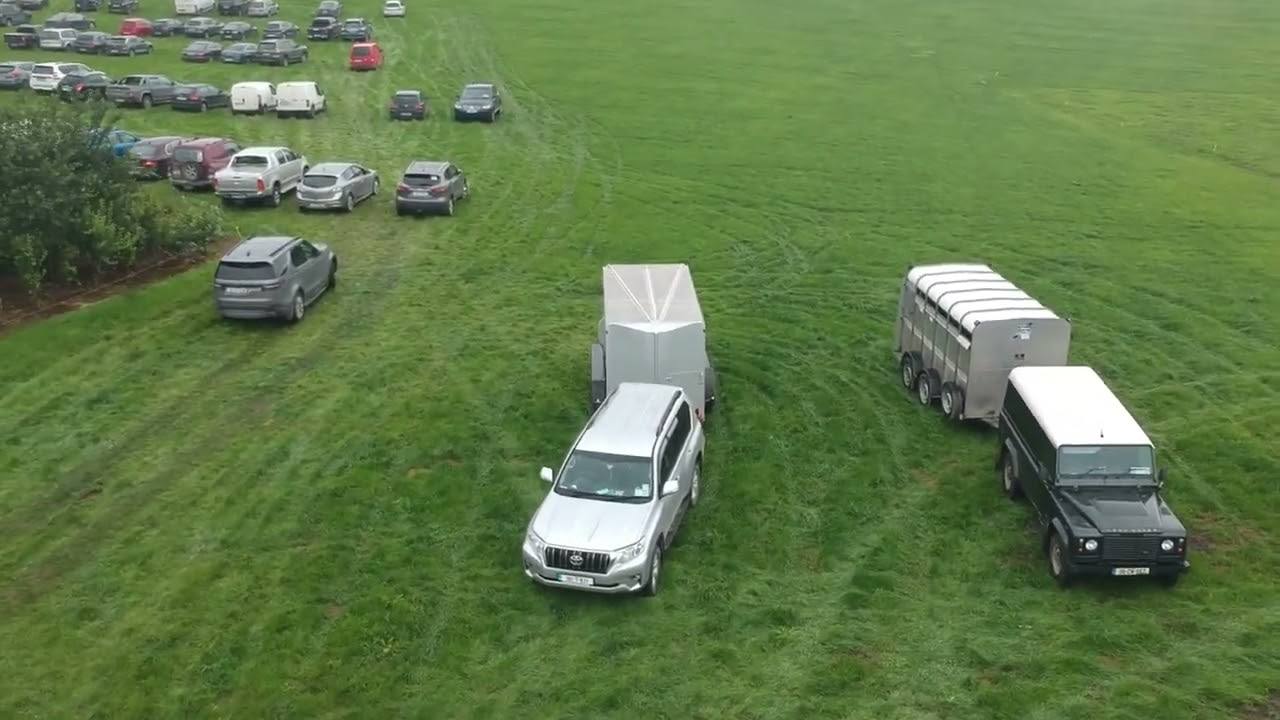 Celtic Herd Dispersal & some Interviews