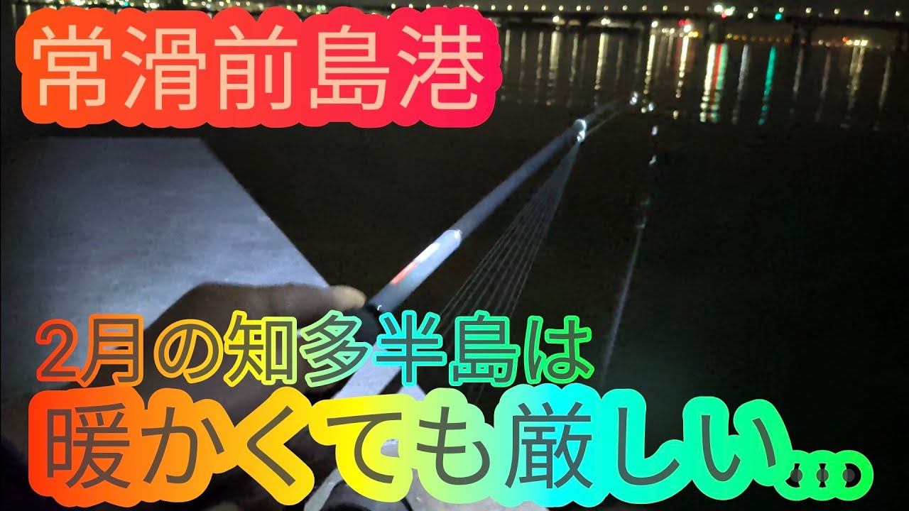 暖かくなってきても厳しい2月の常滑前島港…愛知県 知多半島 伊勢湾 海釣り fishing ロックフィッシュ カサゴ タケノコメバル
