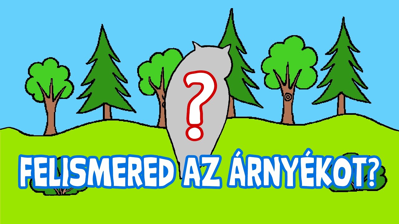 Felismered az árnyékot? ERDEI ÁLLATOK