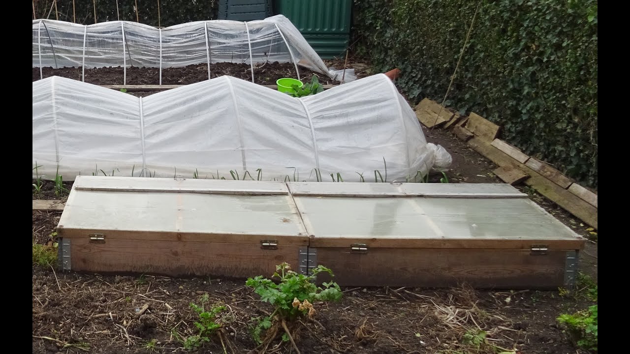 le 11/10/2023: un châssis au potager