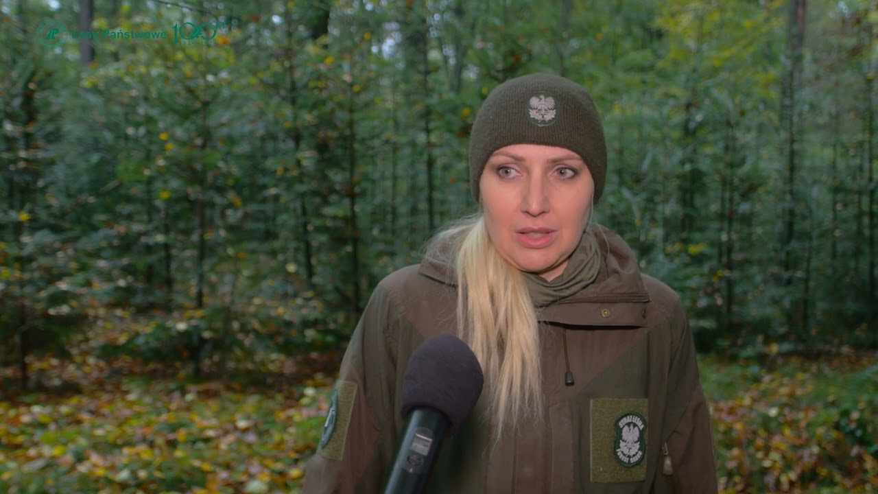 Ciekawe przypadki z fotopułapki