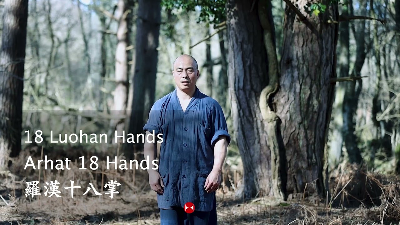 Shaolin 18 Louhan Hands | Arhat 18 Hands | Kung Fu 18 Palms | Shaolin Kung Fu | 少林罗汉18掌