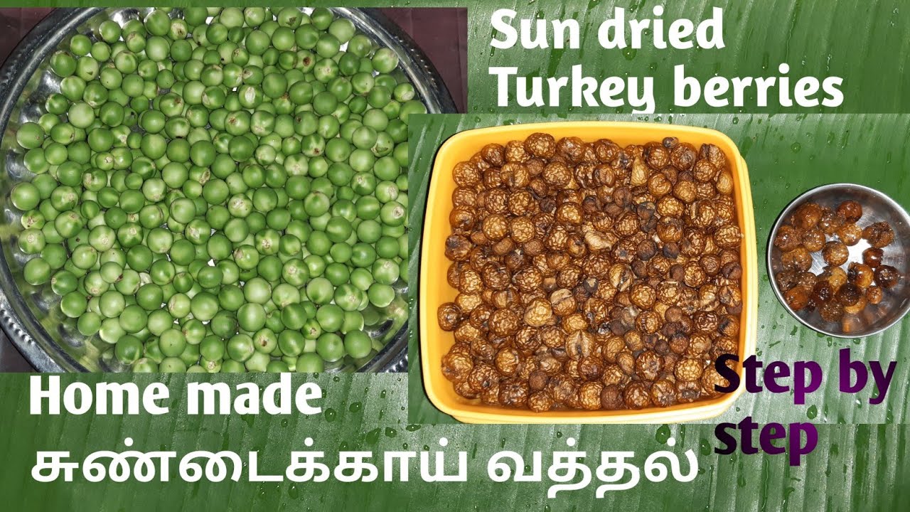 Sundakkai vathal | சுண்டக்காய் வத்தல் | How to make sundakkai vathal | Sun dried Turkeyberry
