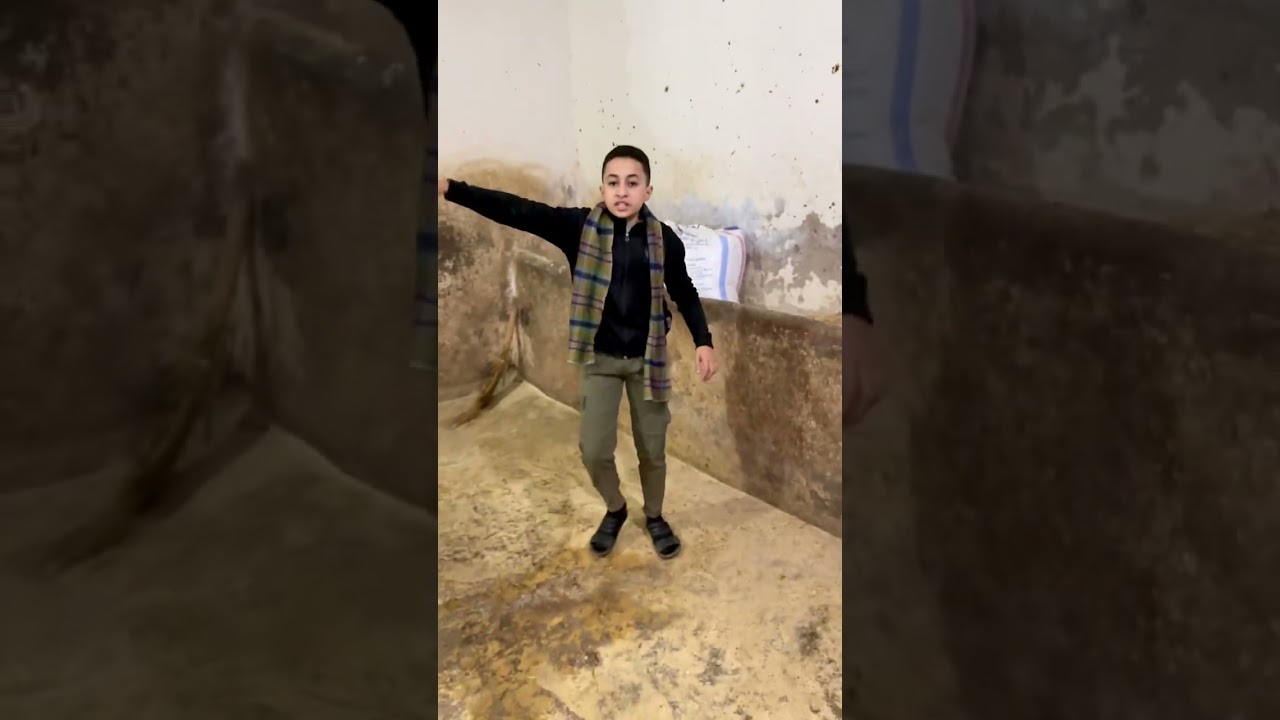 انتاج أعلاف مؤسسه خموسه محيمر رقم التواصل 01002554696