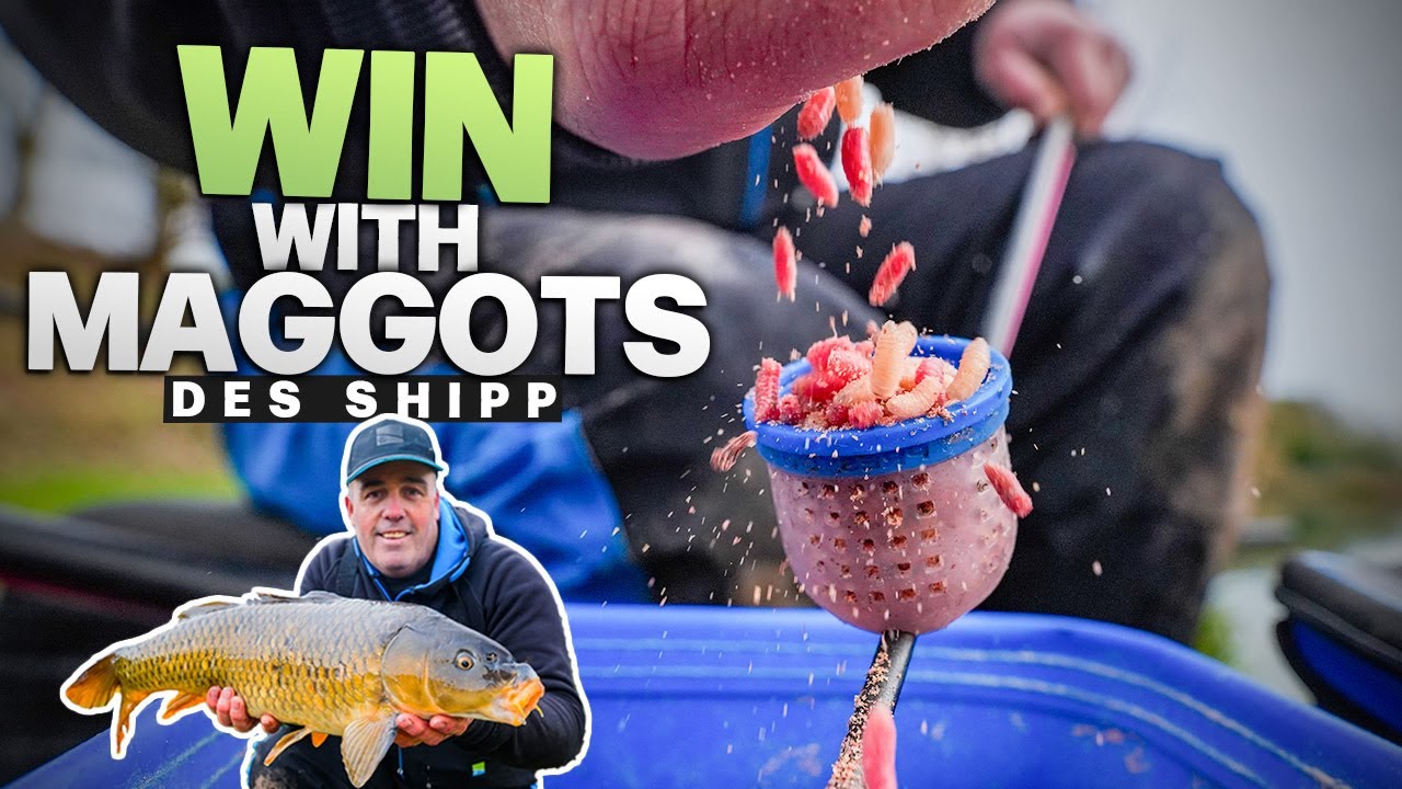 How I Keep Maggot Fishing Simple – Des Shipp