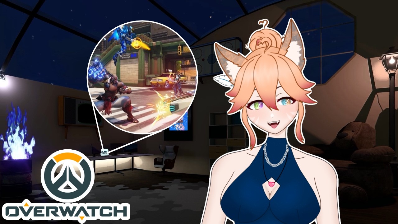 OVERWATCH | I like the kitty