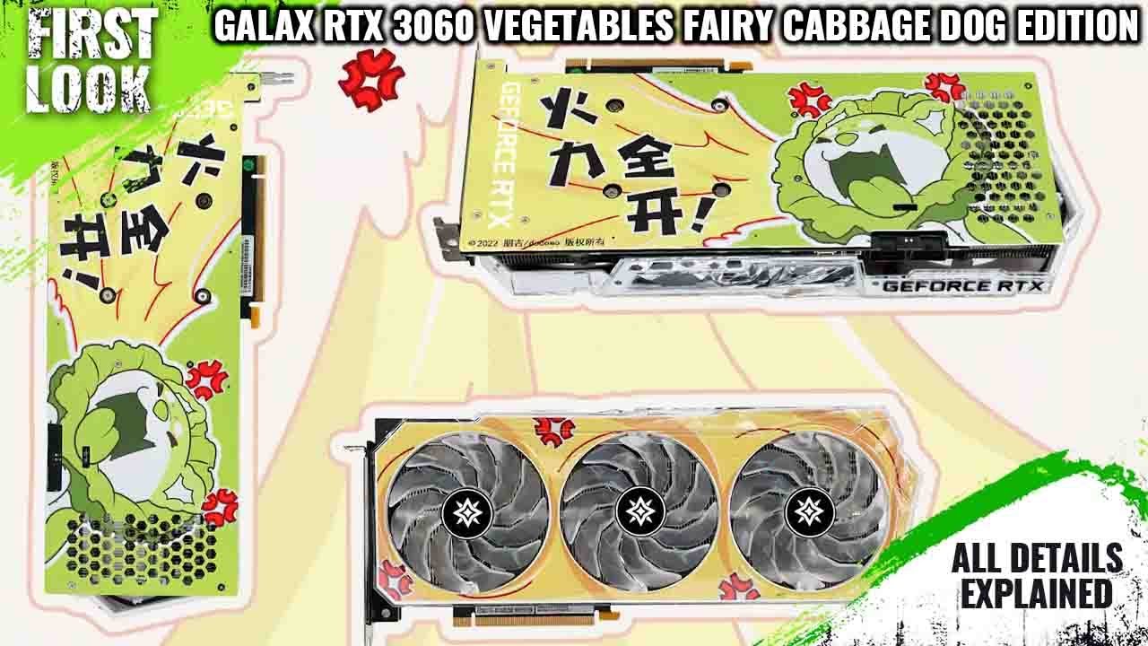 Galax RTX 3060 Cabbage Dog Special Edition Launched - Explained All Spec, Features And More Details
