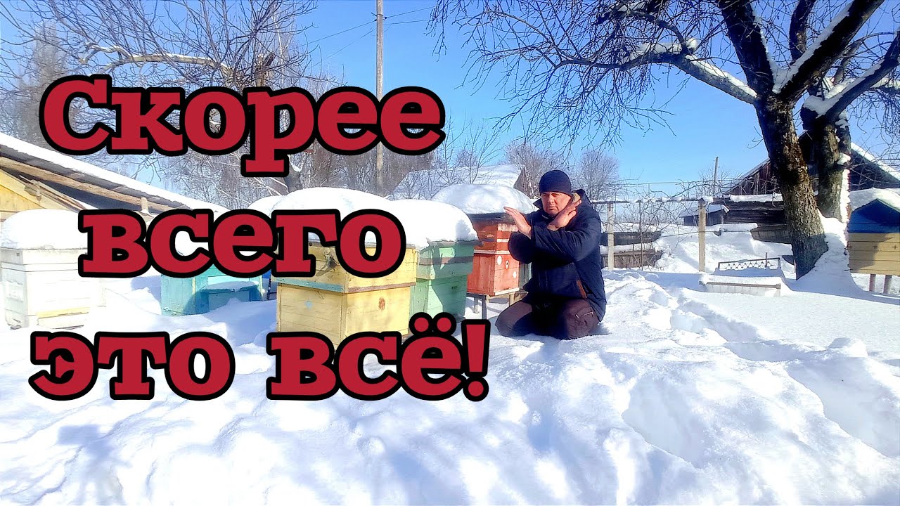 Это закончится очень печально!