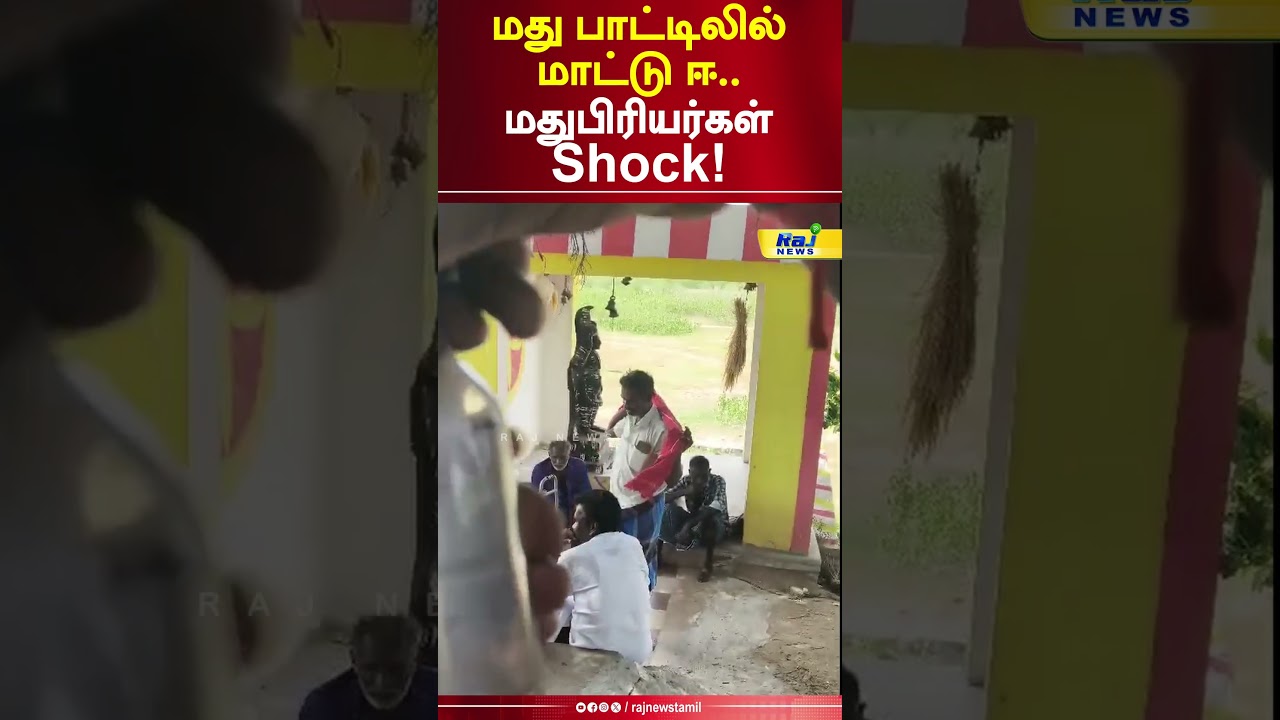 மது பாட்டிலில் மாட்டு ஈ.. மதுபிரியர்கள் Shock! #tasmac #LiquorBottle #ConsumerRights