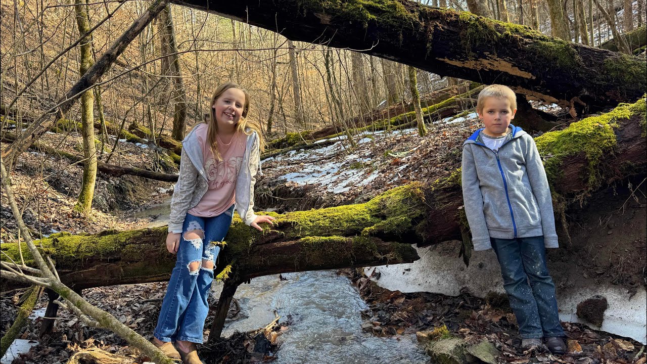 Taking a hike up the creek 