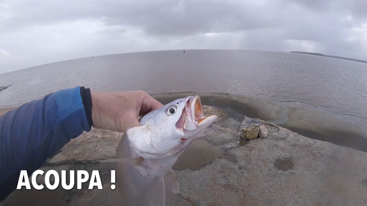 P&ecirc;che en Guyane acoupa