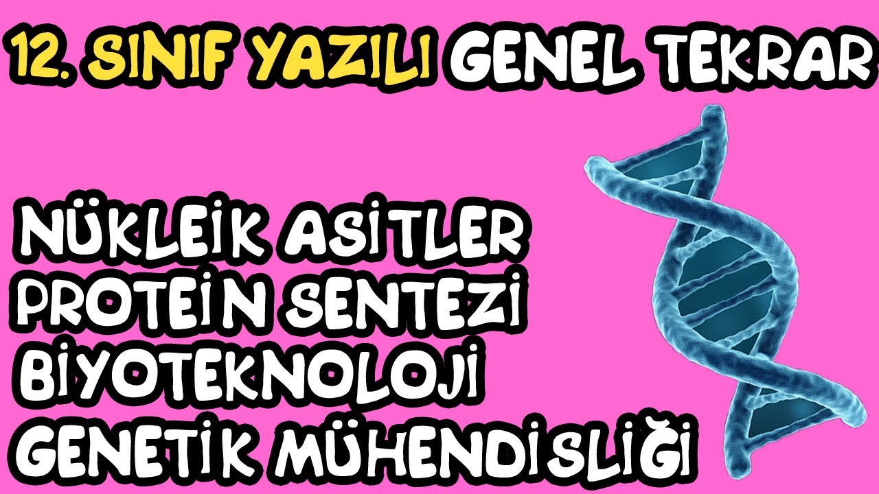 12.Sınıf 1.Yazılı Genel Tekrar