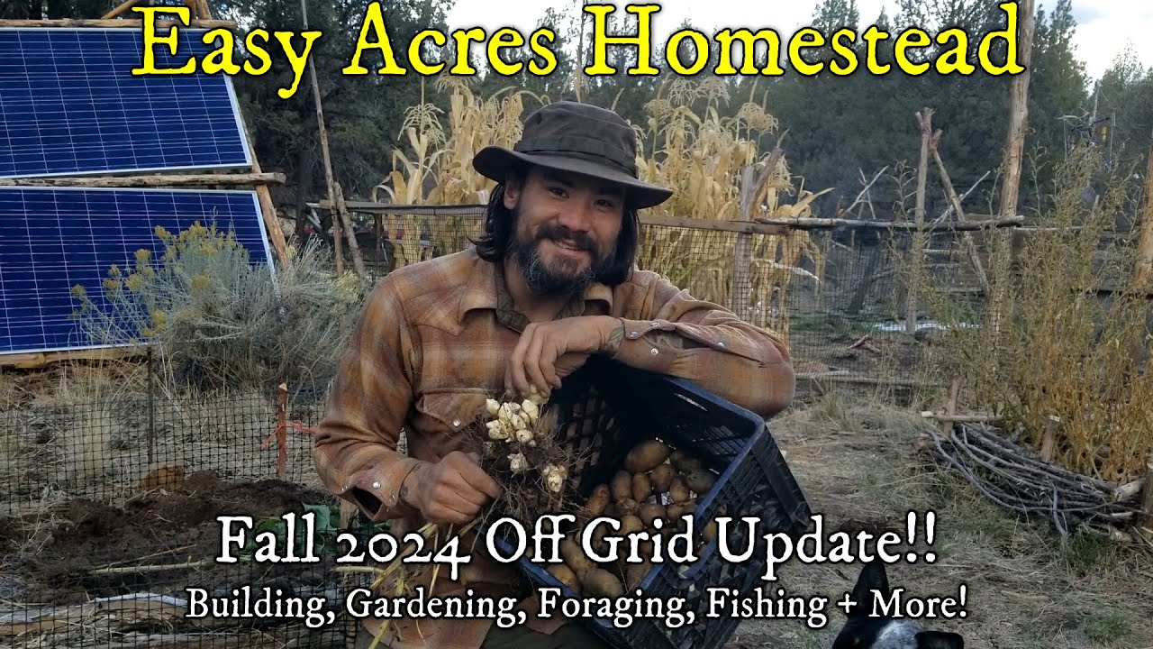 BIG Fall 2024 Off Grid Update! Gardening, Foraging, Fishing, and finding love? 💕Easy Acres Homestead