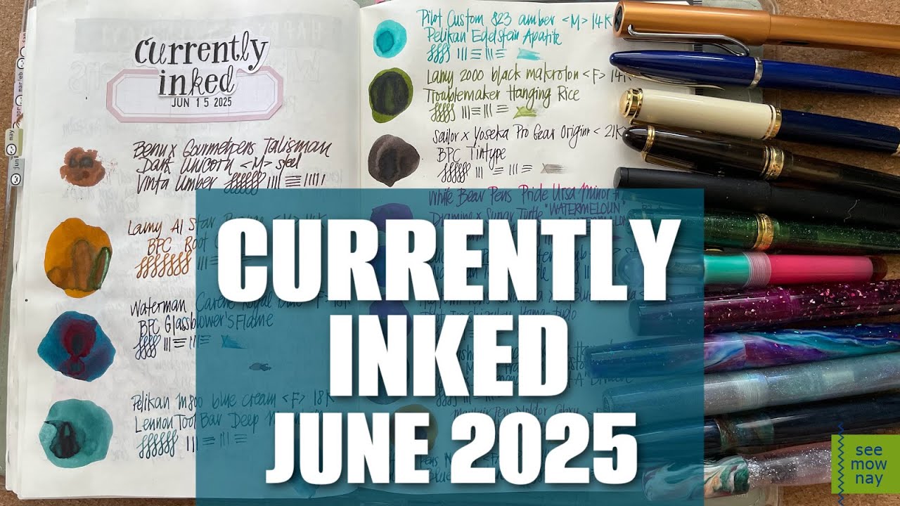 See My New Currently Inked Fountain Pens for June!