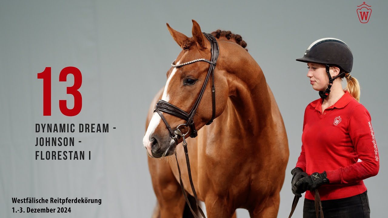 Reitpferdekörung 2024 Katnr.13  Dynamic Dream - Johnson - Florestan I