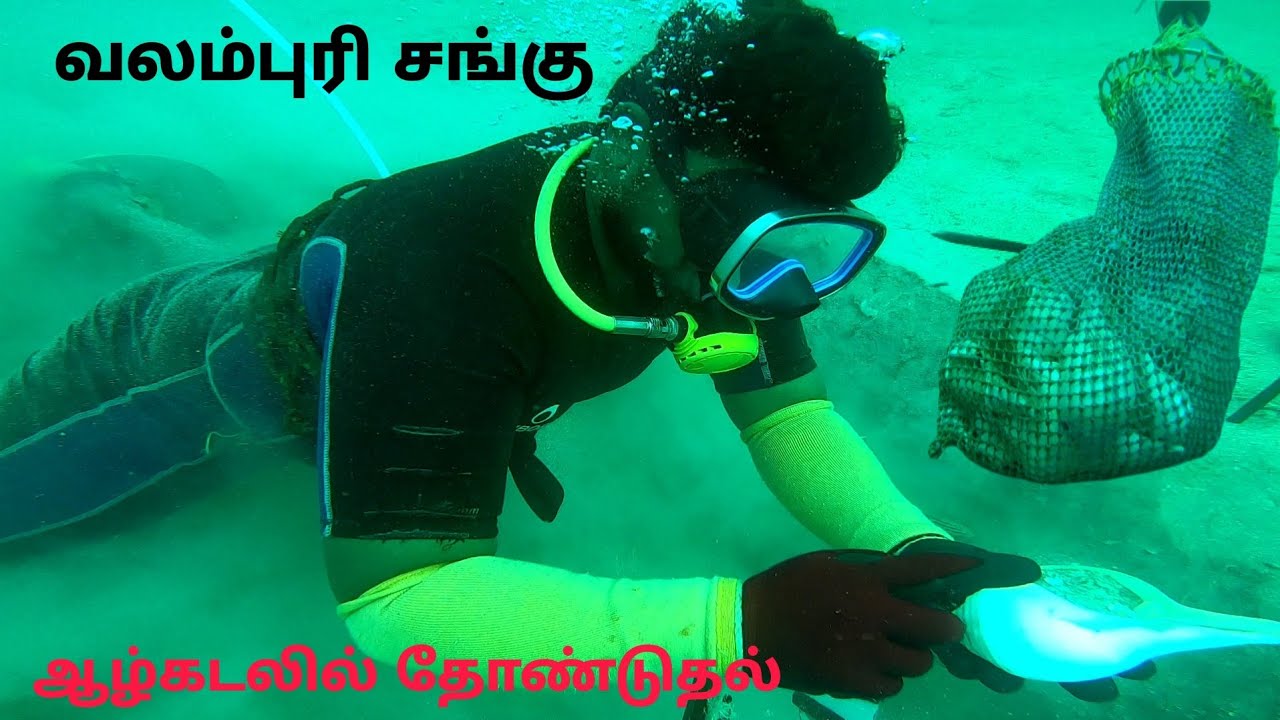 வலம்புரி சங்கு தேடி ஆழ்கடலில் சங்கு தோண்டும் காட்சி|Valampuri conch depth sea catch
