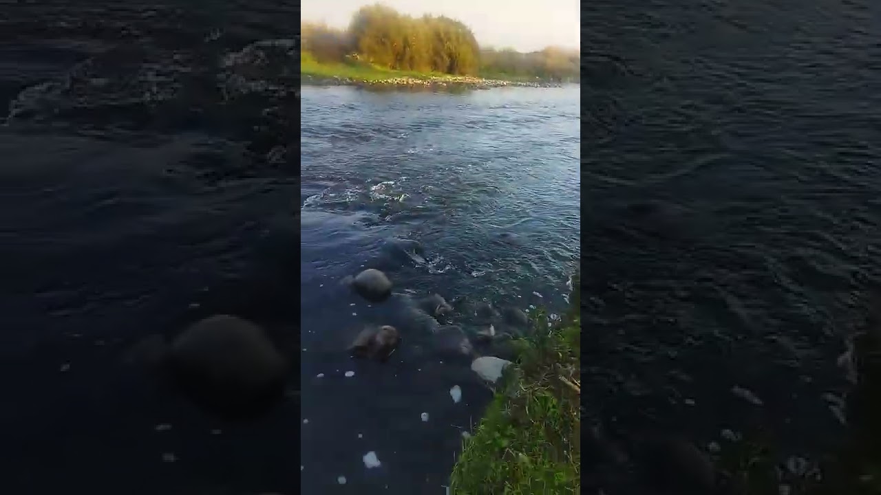 EL RÍO MAPOCHO EN CAMINO A SU DESEMBOCADURA EN EL MAR (EL MONTE), 12 de junio 2022.