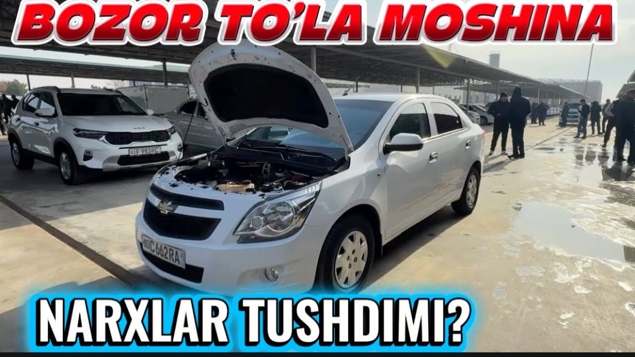 TERMIZ AVTO BOZORI 25.01.2026y