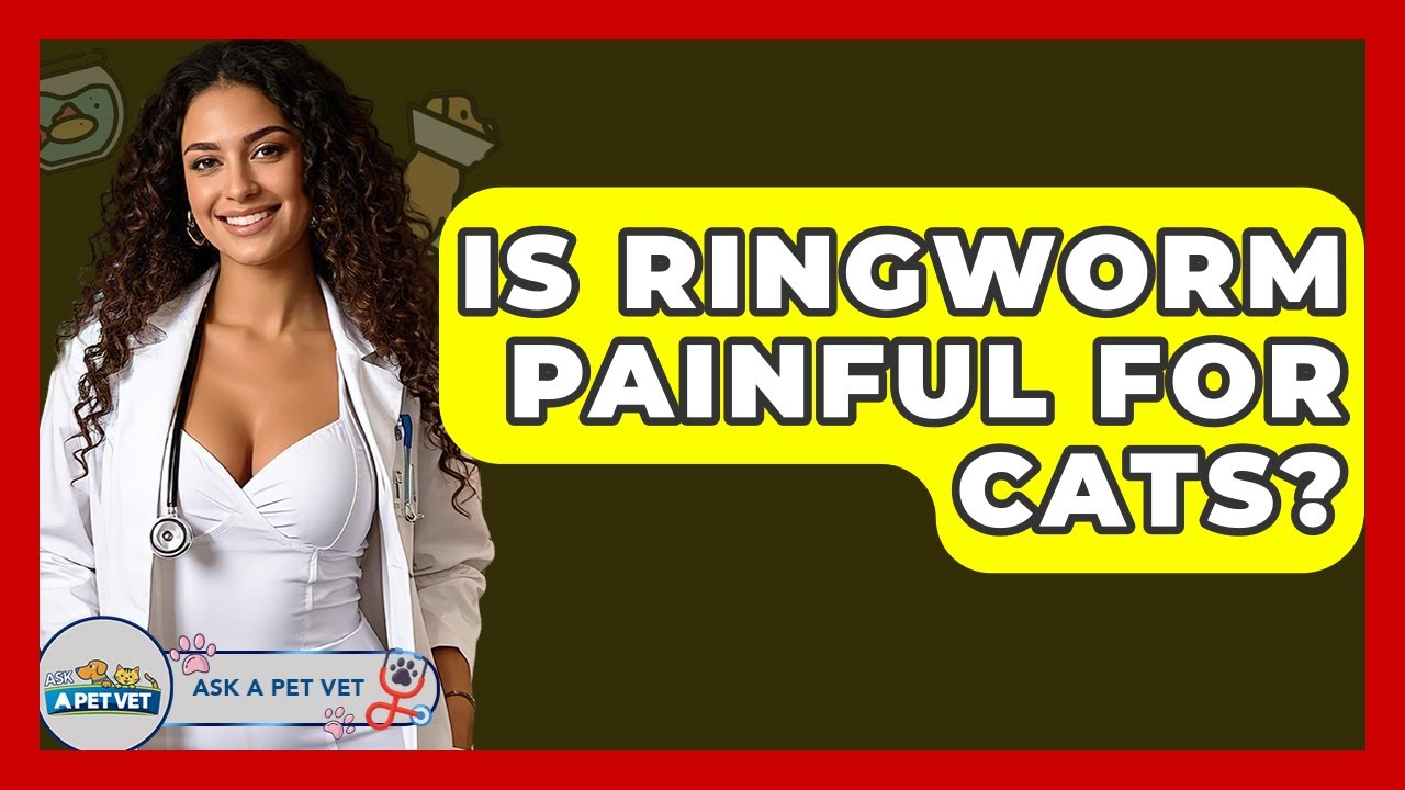 Is Ringworm Painful For Cats? - Ask A Pet Vet