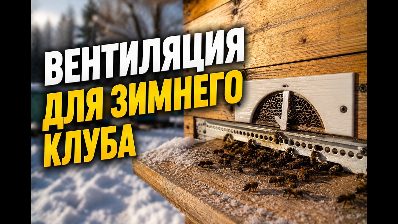 Вентиляция для зимнего клуба.