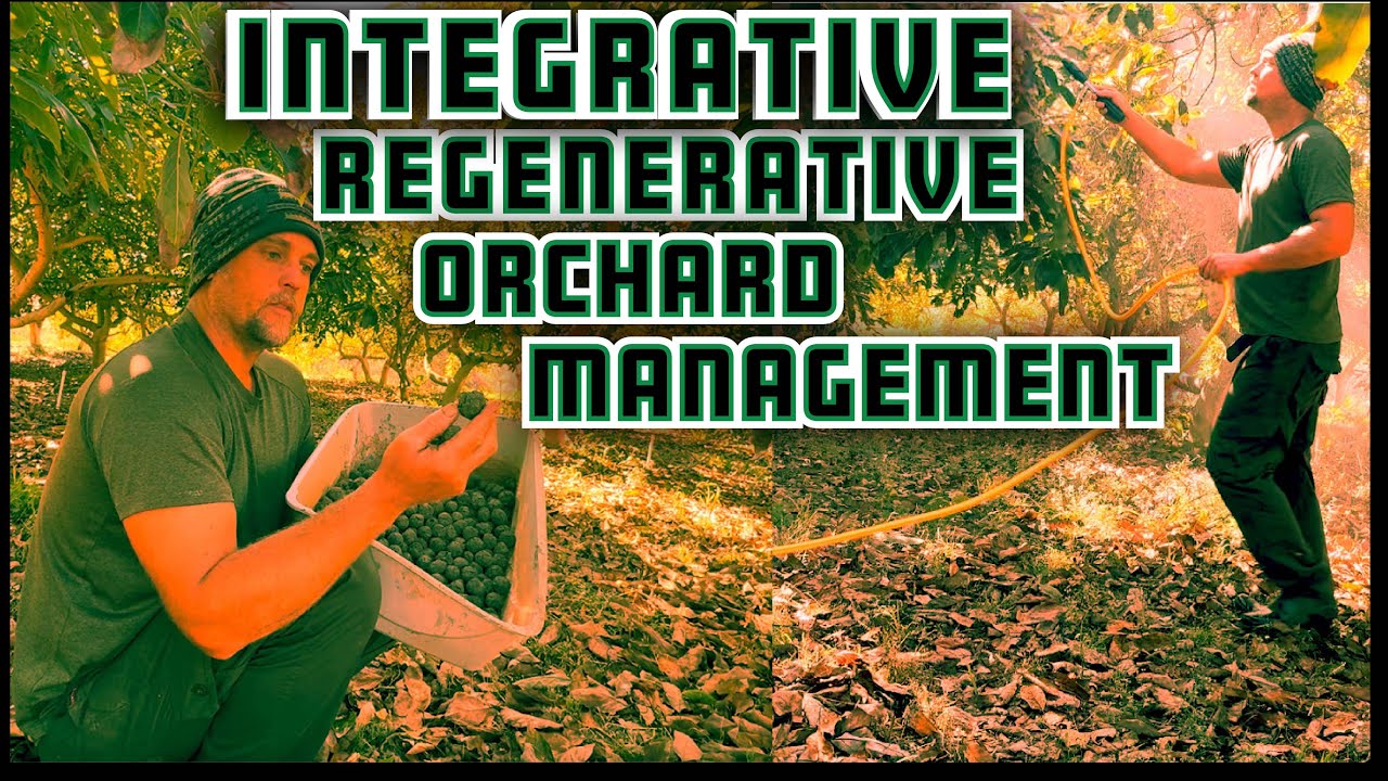 Integrative Regenerative Orchard Management techniques.
