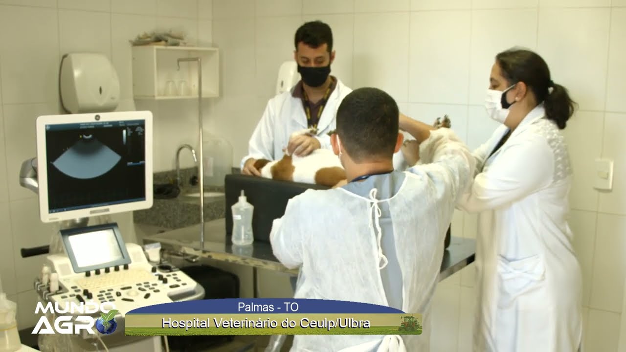 Hospital Veterin&aacute;rio do  Ceulp  Ulbra no Tocantins