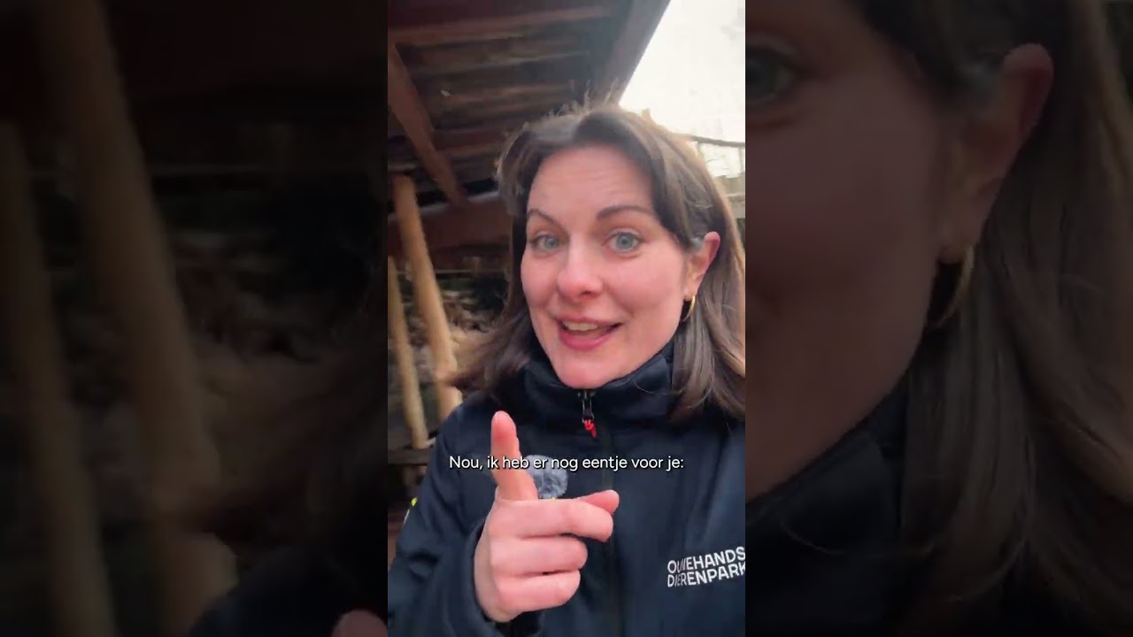 🏃 SPORTIEF DOEL NODIG? | Beregoeie Run 2026