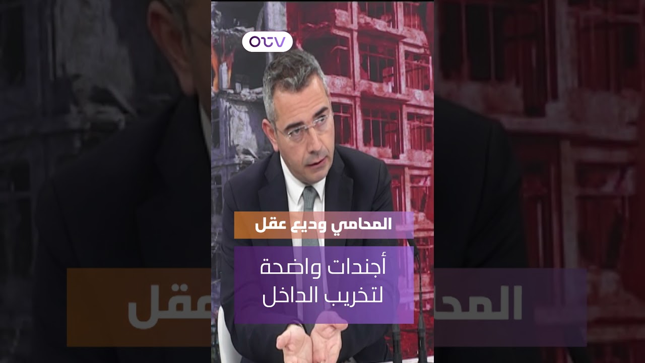 المحامي وديع عقل: مشاكلنا الداخلية بسبب 