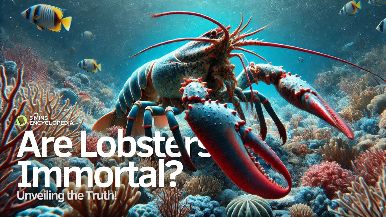 Are Lobsters Immortal? Unveiling the Truth!