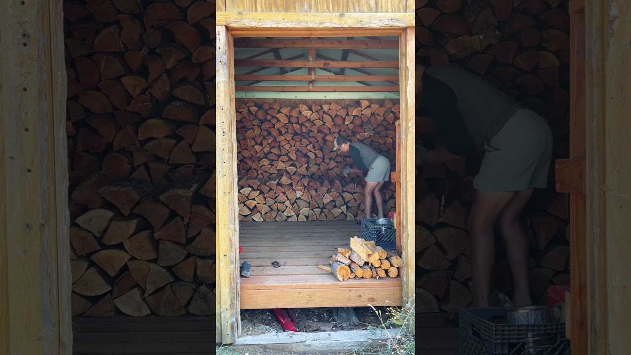 Firewood = Work = Winter HEAT #shorts #homestead #offgrid #firewood #backtobasics