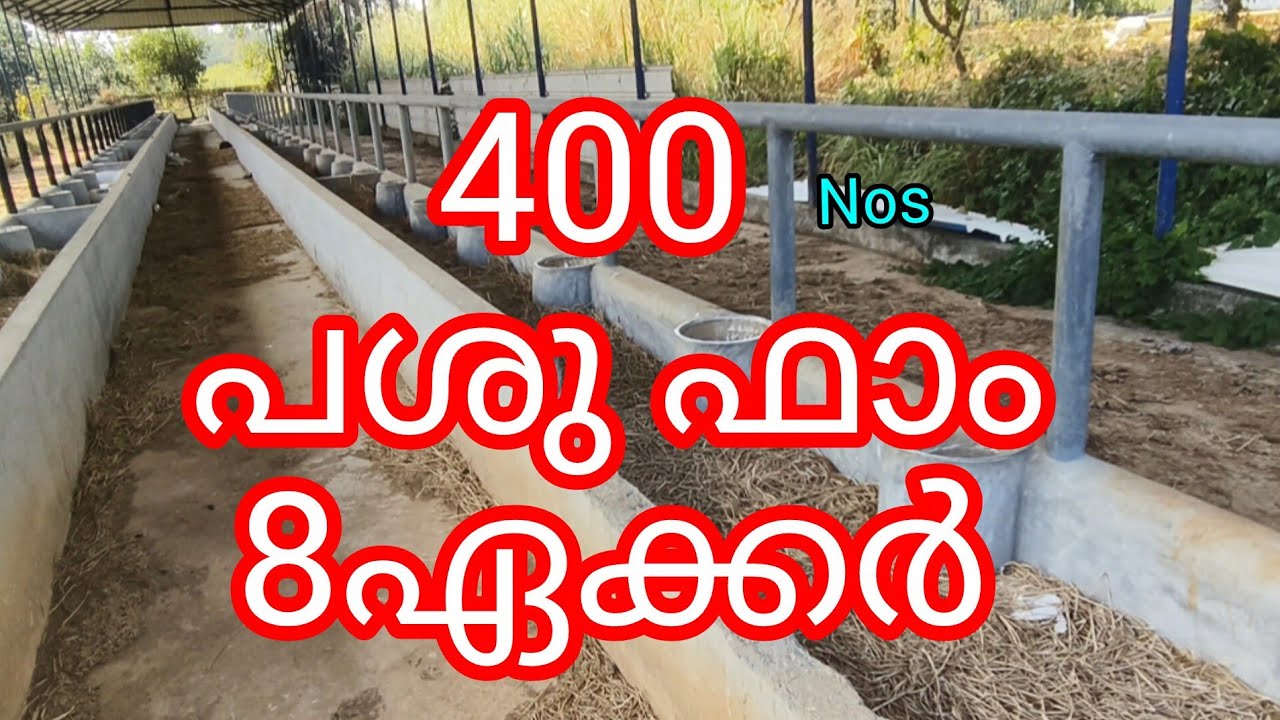 പശു ഫാം 8ഏക്കർ സ്ഥലം പുഴയോരം.