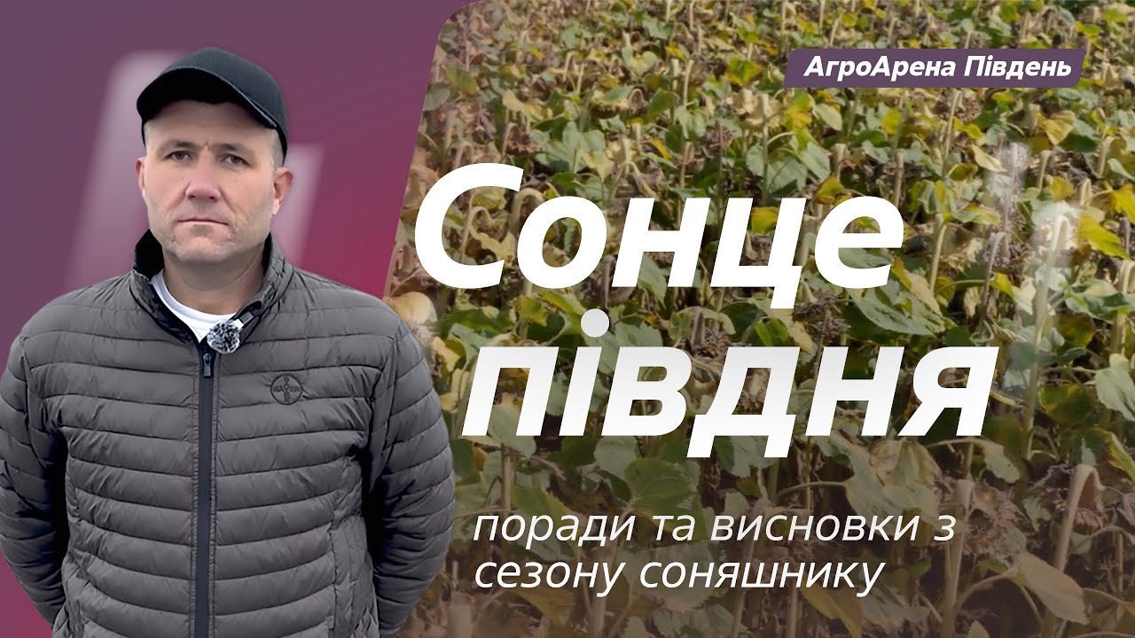 Сонце півдня. Поради та висновки з сезону соняшнику // Життя Байєр АгроАрен