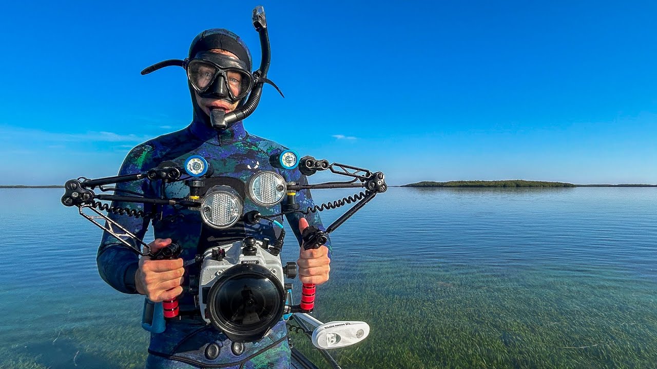 Snorkeling Ancient Springs Hidden in Florida's Seagrass Meadows