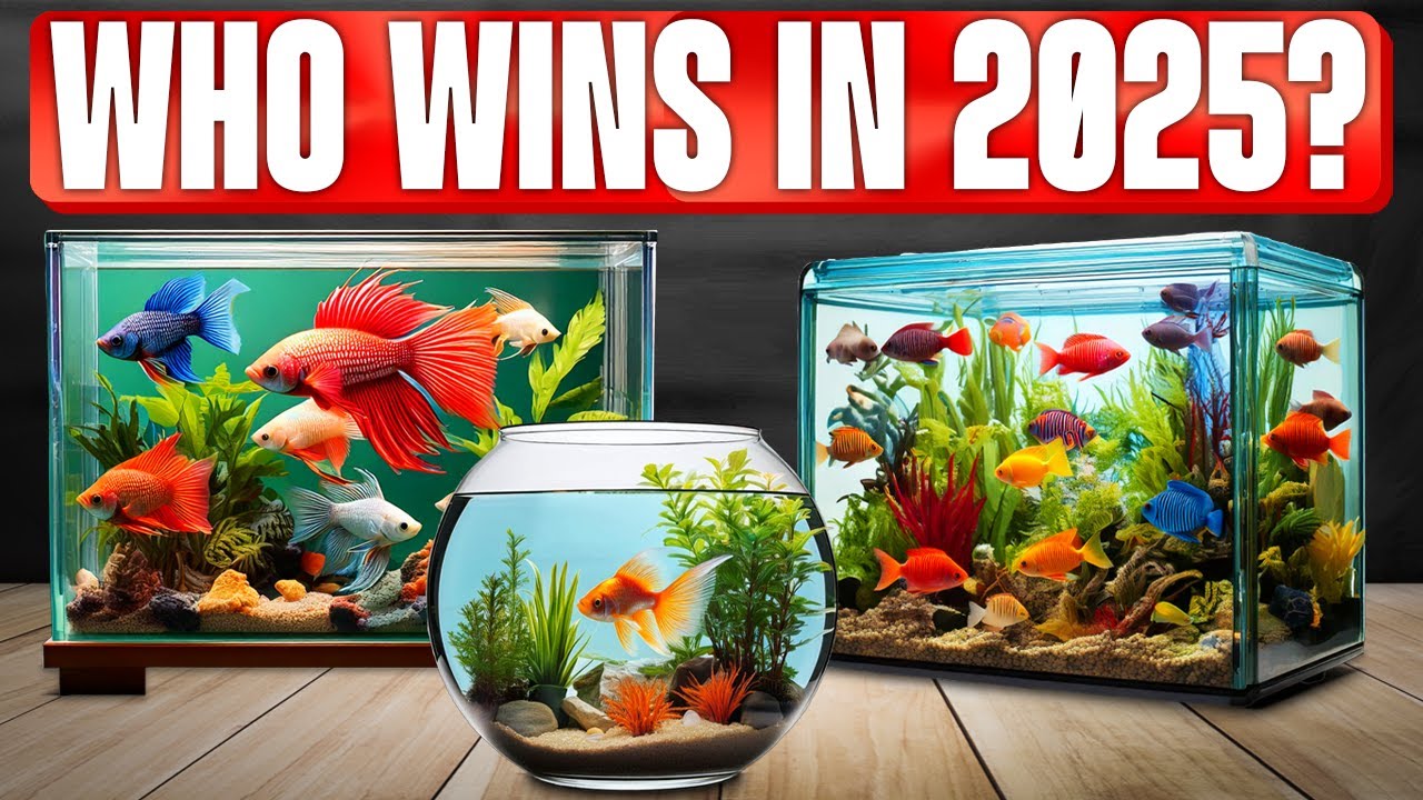 TOP 5 Best Fish Tanks 2025