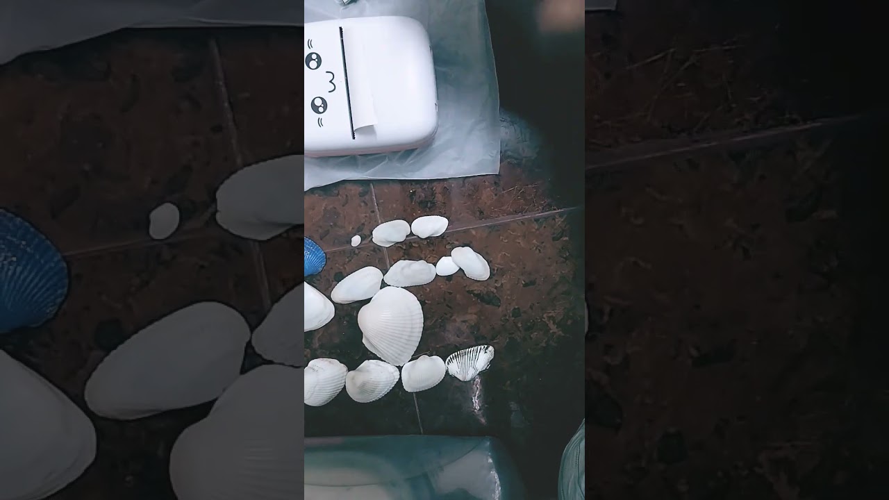 reviewing thermal mini printer if this video is useful for you please subscribe and like