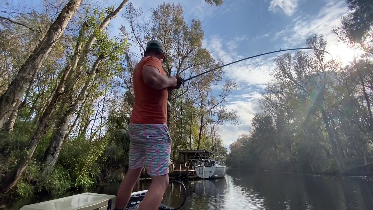 Mega Bass sight fishing Lake Harris!