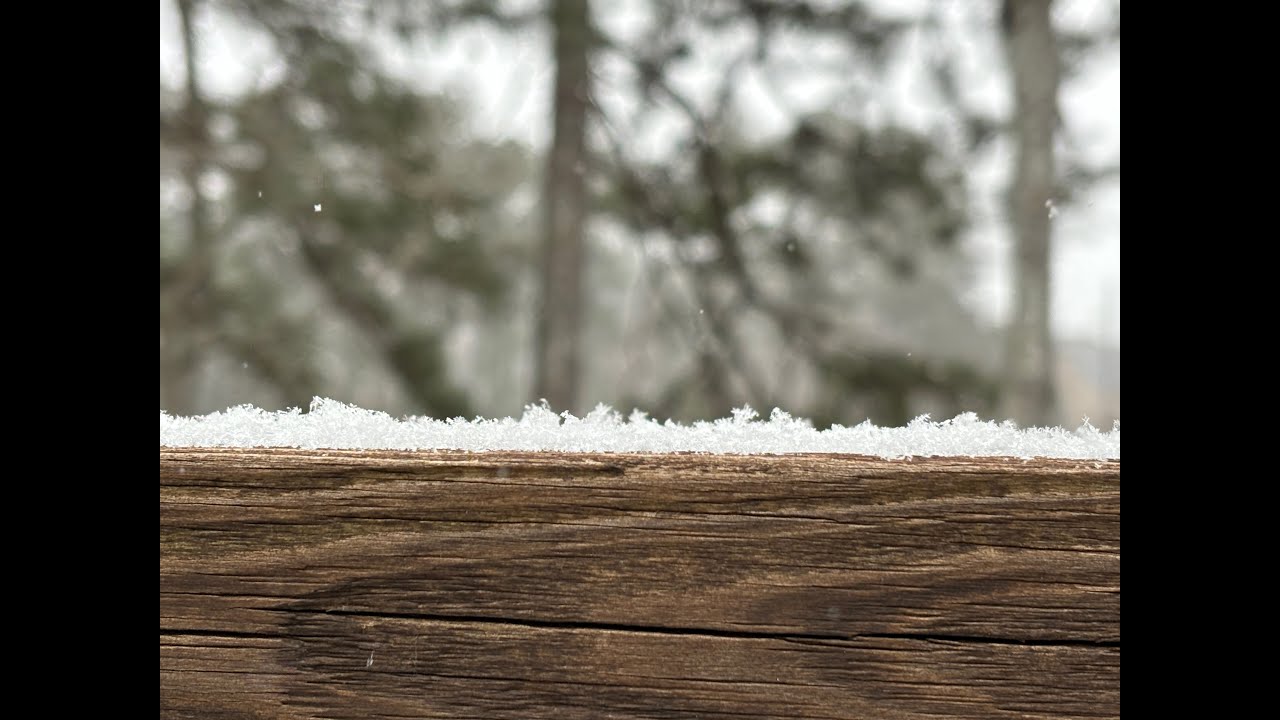 Snow in Georgia   1 31 2026