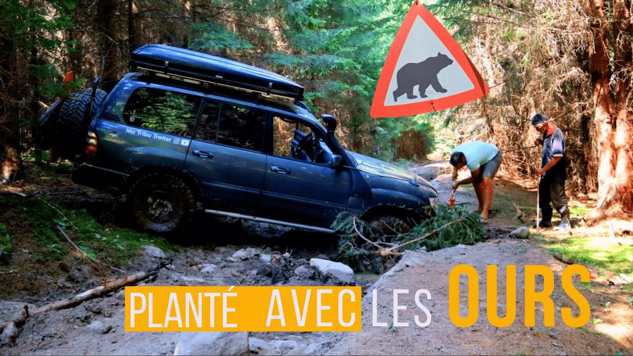 Ep7 : Plantage DANGEREUX au milieu des OURS en 4x4 aménagé / Roumanie offroad