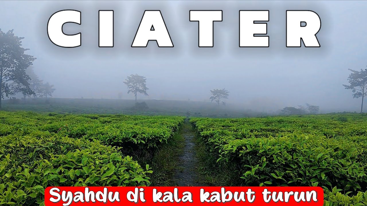 KONDISI CIATER DI KALA HUJAN FULL KABUT MEMBUAT SYAHDU