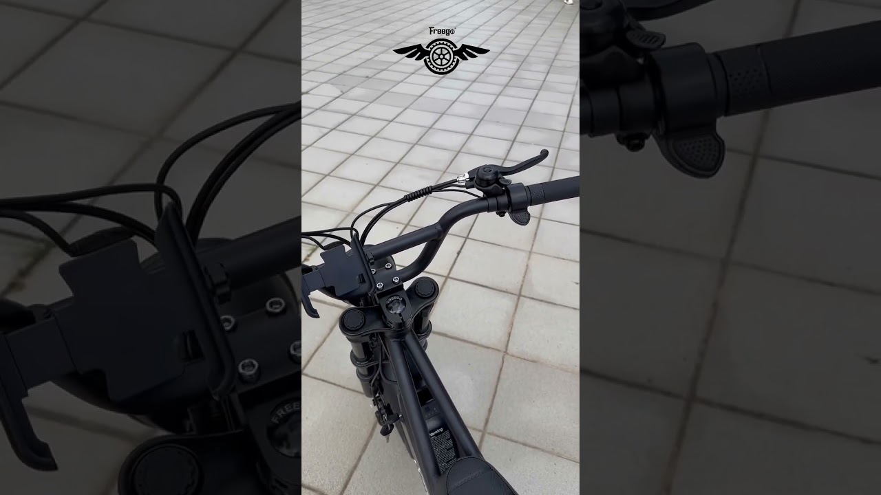 M1 Pro Electric Bike: Factory Direct Sales & Custom E-Bike Solutions!