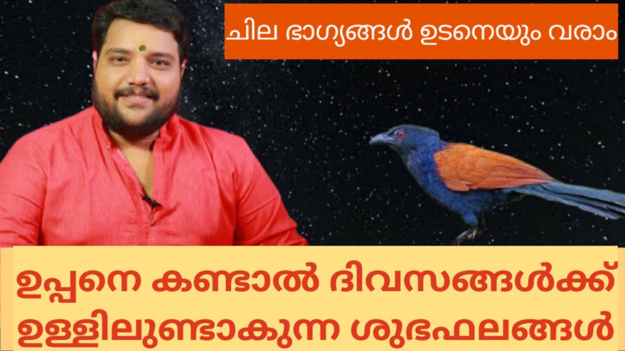 ഉപ്പനെ(ചെമ്പോത്ത്) കണ്ടാലുള്ള ശുഭ ഫലങ്ങൾ | 9567955292 | Brahmasree Vishnu Nampoothiri