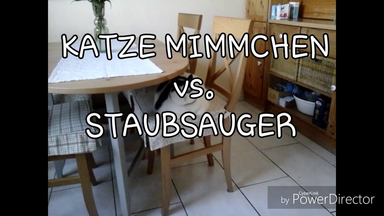 Katze Mimmchen vs. Staubsauger 2!
