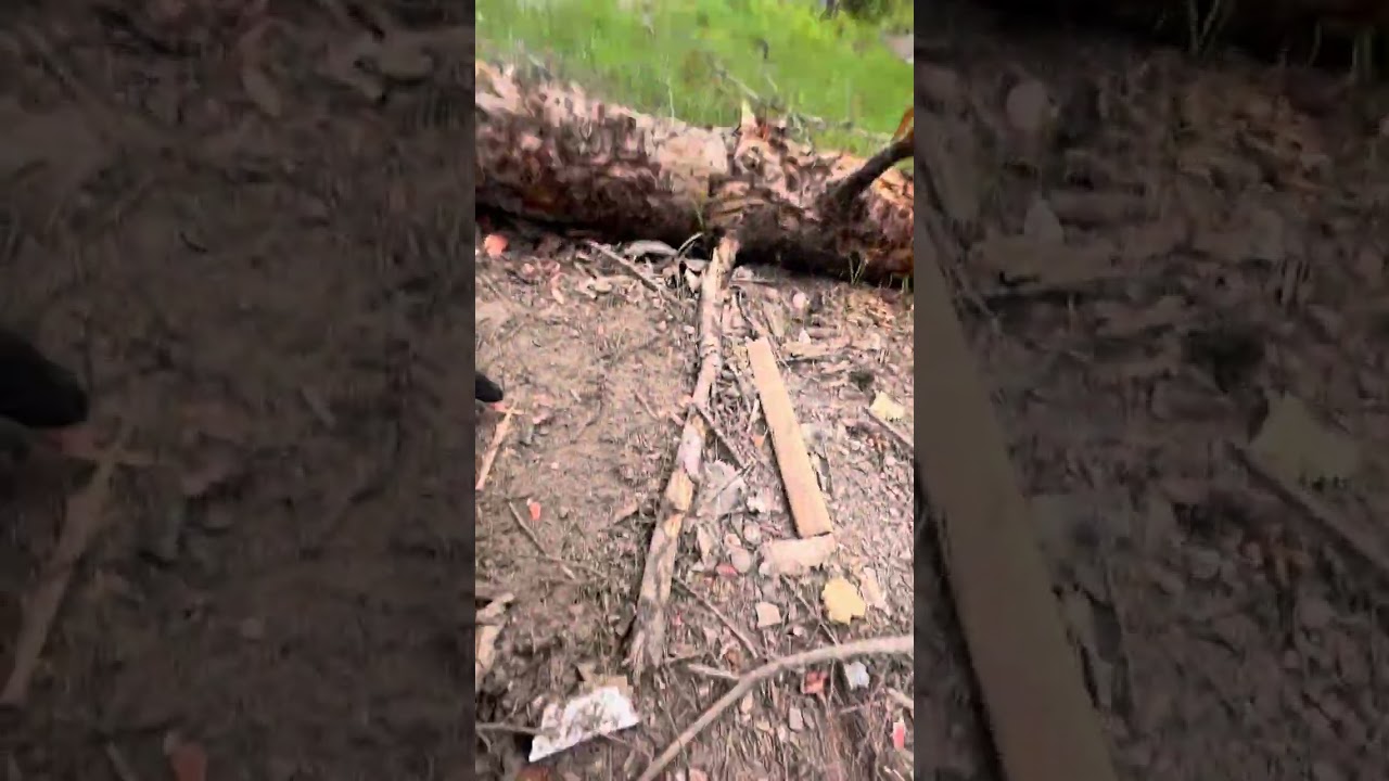 Running a Meridian Defense Corp UCR and Silencer Co Velos LBP 7.62.