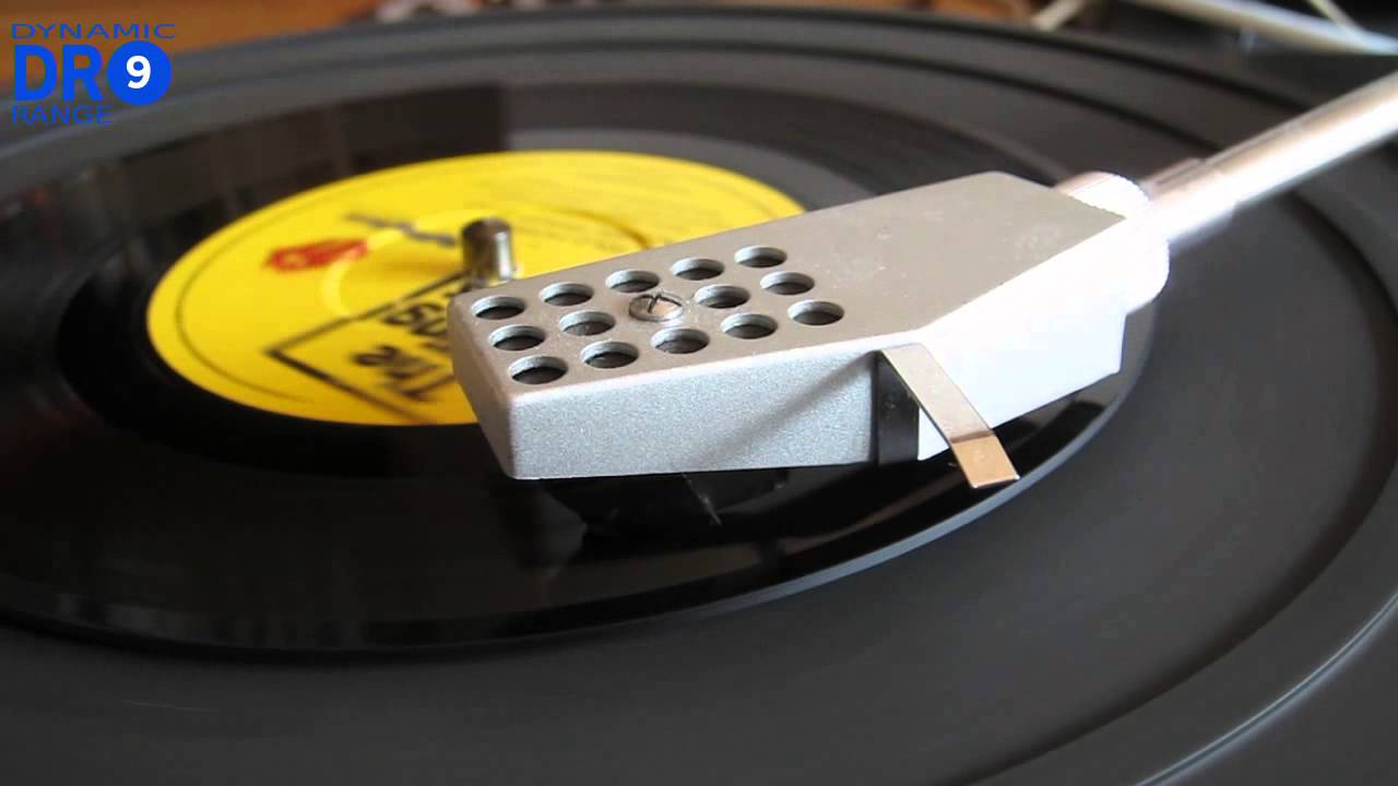 The Rolling Stones | Wild Horses (Vinyl)