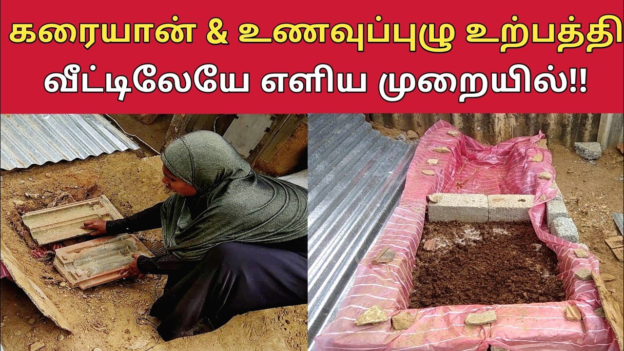 கரையான் & உணவுப்புழு உற்பத்தி - எளிய முறையில்