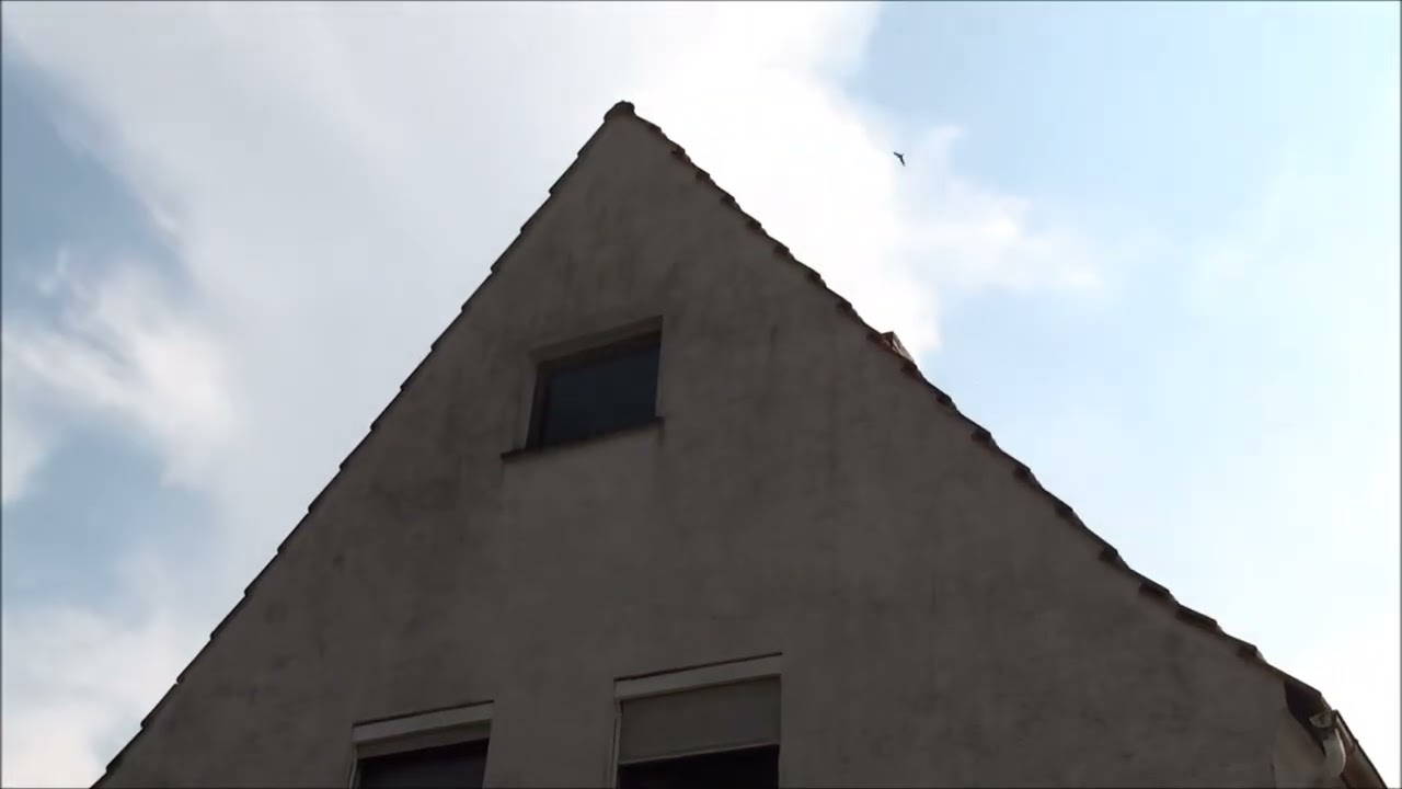 Bosseborn - Das Horrorhaus