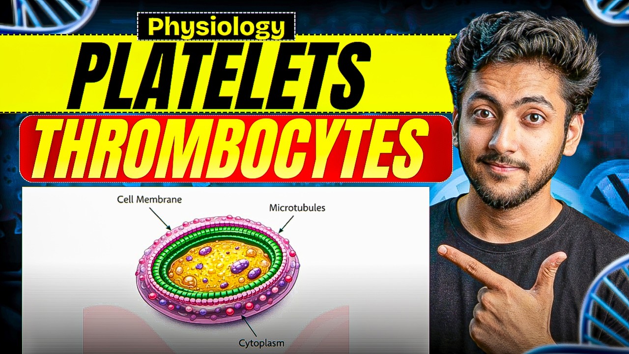 Physiology - Platelets ( Thrombocytes ) | MBBS 1st Year | Full Explanation with Notes | MBBS World