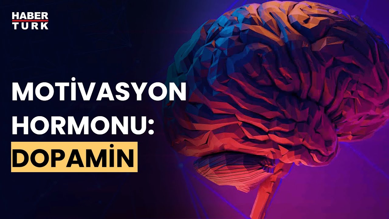 Dopamin hormonu ne işe yarar? Prof. Dr. Derya Uludüz anlattı