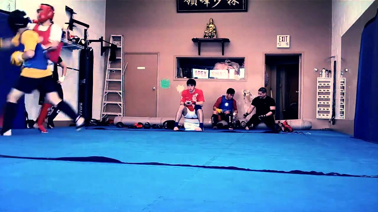 Apex Sanshou Team 2010