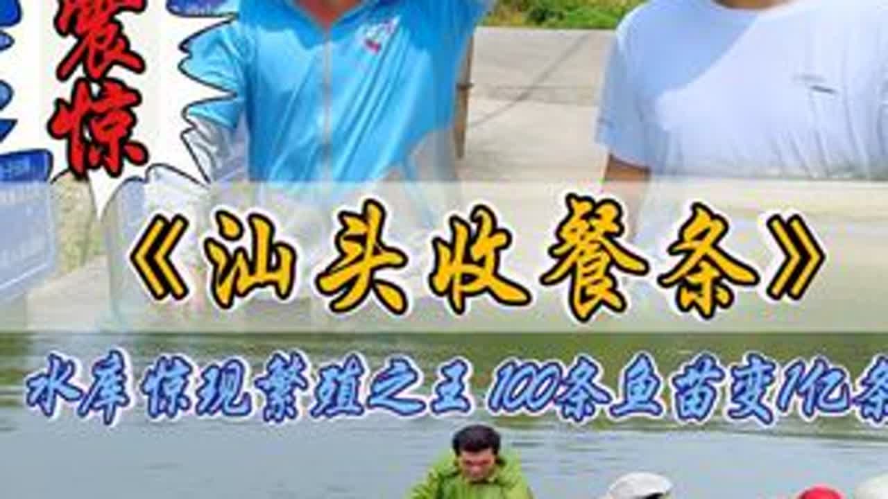 震惊！汕头水库惊现“繁殖之王”100条鱼苗变1亿条！ #2025新农人计划 #三农 #水产养殖 #乡村生活家 #户外捕鱼